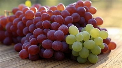 العنب كنز غذائي يعزز الصحة ويحمل إرثًا تاريخيًا عريقًا