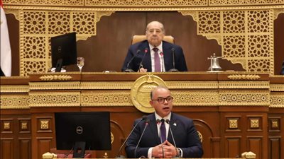 رئيس الرقابة المالية: هناك مستهدفات لتنمية الأسواق لصالح الاقتصاد الوطني