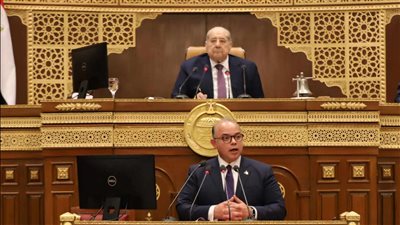 رئيس الرقابة المالية: منازعات سوق رأس المال لا تحتاج لمحكمة متخصصة 