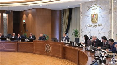 الحكومة تعتمد إجراءات لدعم الشركات الناشئة.. وتستهدف تمويل 5000 شركة لخلق 500 ألف فرصة عمل