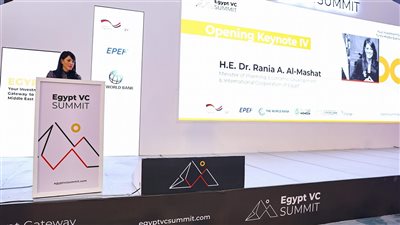 الحكومة المصرية تعزز بيئة ريادة الأعمال بدعم الشركات الناشئة والاستثمارات الأجنبية المباشرة
