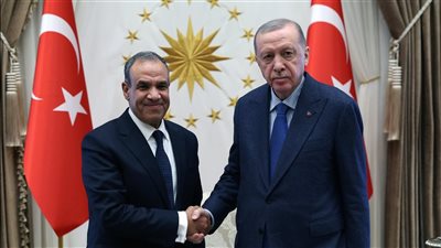 بتوجيهات من السيسي.. وزير الخارجية يجتمع مع أردوغان في أنقرة 