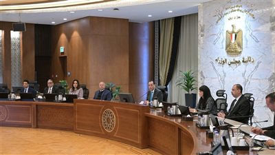 رئيس الوزراء يترأس اجتماع اللجنة العليا لمتابعة تنفيذ برنامج التنمية المحلية بصعيد مصر بمشاركة الوزراء والمحافظين والشركاء الدوليين