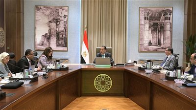 جهود حكومية مكثفة لمواجهة التعديات على الأراضي الزراعية... رئيس الوزراء يتابع الإجراءات الصارمة لحماية الرقعة الزراعية ومنع البناء المخالف