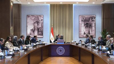 رئيس الوزراء: تطوير منظومة الجمارك لتعزيز الثقة مع مجتمع الأعمال وتسريع الإفراج الجمركي