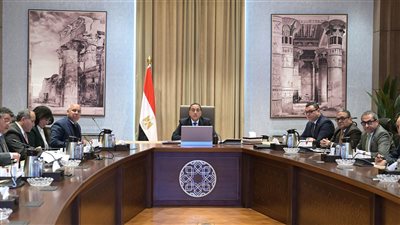 مصر تواصل تطوير منظومة النقل الحديث: تقدم في تنفيذ مشروع القطار الكهربائي الخفيف بشرق القاهرة