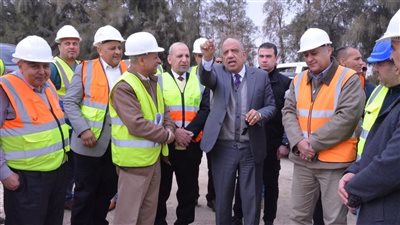 محطة الكريمات الشمسية الحرارية: مشروع ريادي لتعزيز إنتاج الطاقة النظيفة وتحقيق الاستدامة البيئية وفق رؤية مصر 2030