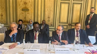 مصر تقود جهودًا جديدة لتعزيز عمليات السلام في أفريقيا خلال مؤتمر ميونخ للأمن