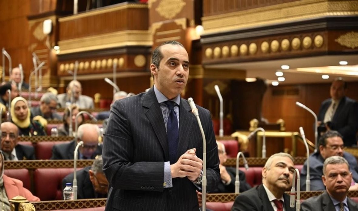 المستشار محمود فوزي
