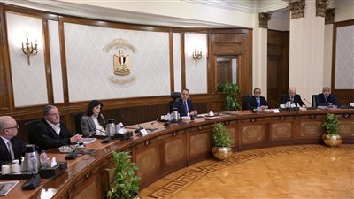 رئيس الوزراء يبحث مع اللجنة الاستشارية للتنمية العمرانية مستقبل قطاع العقارات المصري وتصدير العقار.. مقترحات لتسهيل التراخيص وجذب الاستثمارات ورؤية لإعادة إعمار غزة