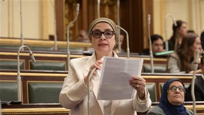 الزمالك بين التطوير والتجريف: نائبة برلمانية تطالب بوقف هدم الحدائق التراثية وحماية الملكية العامة
