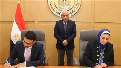 مصر والإمارات توقعان اتفاقية لإنشاء محطات تخزين طاقة بقدرة 1500 ميجاوات: خطوة نحو تعزيز الطاقات المتجددة وتقليل الانبعاثات