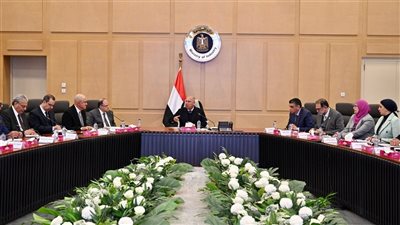 حلول جذرية لدعم صناعة الأدوية في مصر.. نائب رئيس الوزراء للصناعة والنقل يترأس اجتماعًا موسعًا لمناقشة تحديات القطاع وسبل التطوير