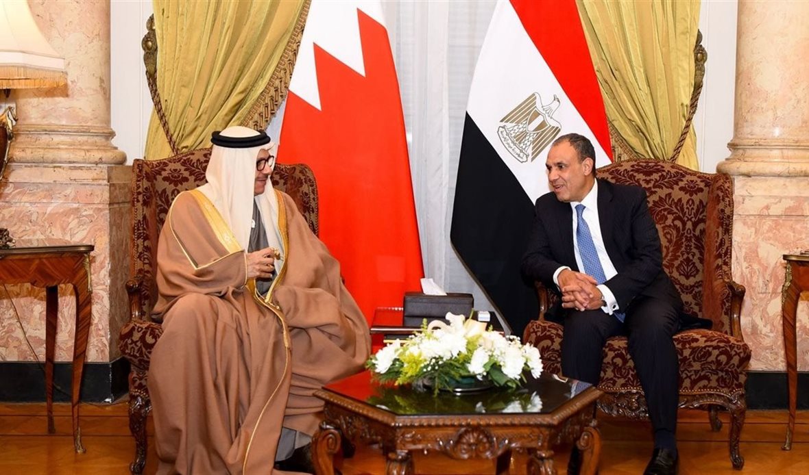 وزيرا خارجية مصر