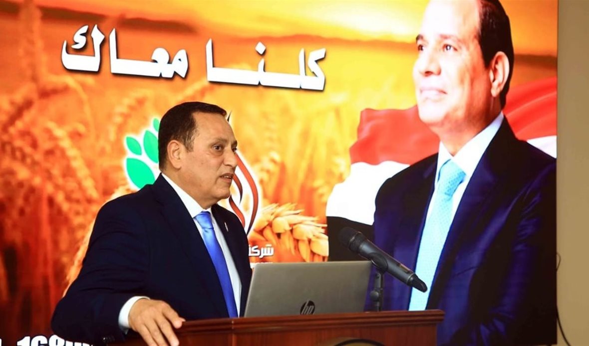  الريف المصري الجديد