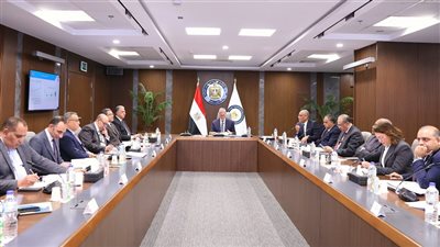 وزير البترول: مشروعات البتروكيماويات الجديدة تدعم توطين الصناعات وتقليل الاستيراد.. ونسعى لجعل مصر مركزًا إقليميًا لوقود الطائرات المستدام