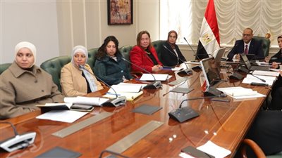 وزير العمل يترأس اجتماع اللجنة التوجيهية للخطة الوطنية لتعزيز المساواة بين الجنسين في العمل ويؤكد: تمكين المرأة أولوية وطنية