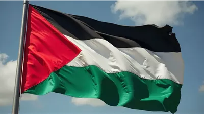 مصر تدين قرار إسرائيل بوقف دخول المساعدات الإنسانية إلى غزة وتدعو لتحرك دولي