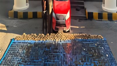 ضبط 3 عناصر إجرامية بحوزتهم 292 كجم حشيش وأسلحة نارية بالإسكندرية ومطروح