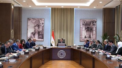 رئيس الوزراء يناقش جهود مكافحة التهريب وحماية الأسواق المصرية من الإغراق بتدابير جديدة مشددة
