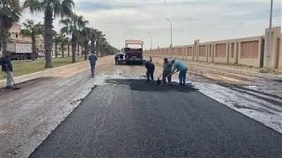 مشروعات تنموية كبرى في برج العرب الجديدة.. تنفيذ 209 عمارات سكنية وتطوير منظومة الطرق والمرافق وفق أعلى المعايير