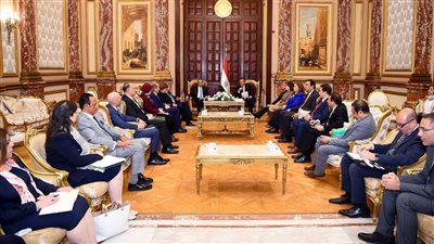 وزير الخارجية والهجرة يشدد على الجهود الدبلوماسية المصرية في القضايا الإقليمية ودعم المصريين بالخارج