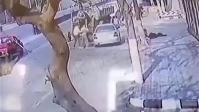 كشف تفاصيل اعتداء شخصين على سيدة وإلقائها في الشارع بالشرقية