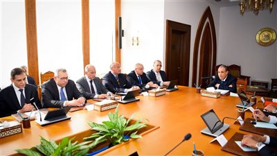 الدبلوماسية المصرية في مواجهة التحديات.. وزير الخارجية والهجرة يبحث أولويات السياسة الخارجية ودعم المصريين بالخارج وتعزيز التعاون الاقتصادي