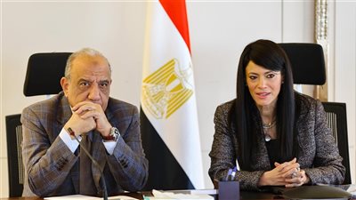 مصر تستهدف إنتاج 20,000 ميجاوات من الطاقة المتجددة بحلول 2029.. الحكومة تواصل جهودها لتعزيز الاستثمار في الكهرباء والتحول إلى الاقتصاد الأخضر