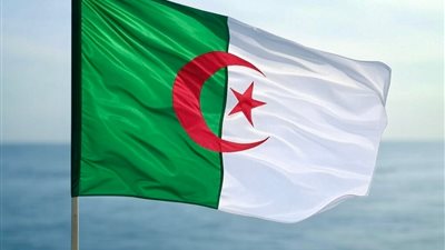 تشكيل الحكومة الجزائرية الجديدة برئاسة سيفي غريب وتغييرات بارزة