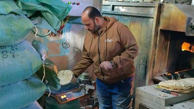 ضبط دقيق ورنجة ولحوم مخالفة، وتحرير مئات المخالفات لضبط الأسواق ومكافحة الغش التجاري بالدقهلية 