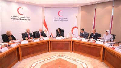 الهلال الأحمر المصري يواصل تقديم المساعدات والإغاثة للأشقاء الفلسطينيين والاستجابة للأزمات الإنسانية محليًا وإقليميًا