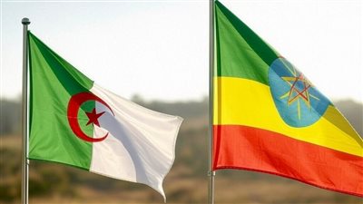 الجزائر وإثيوبيا تعززان التعاون في مجال الطاقة والمناجم ضمن رؤية تكاملية لتعزيز الاندماج الاقتصادي الأفريقي