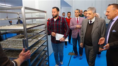 هيئة قناة السويس تطرح أسماك البلطي والبوري والطوبارة بأسعار مخفضة في بورسعيد والإسماعيلية ضمن خطة دعم الأمن الغذائي، مع تشغيل أحدث مصنع للتعبئة والتغليف بمعايير عالمية