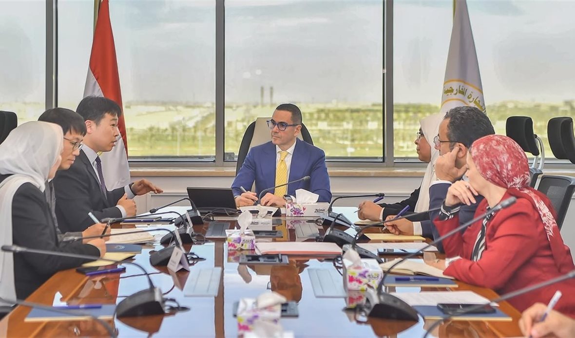 اجتماع وزير الاستثمار