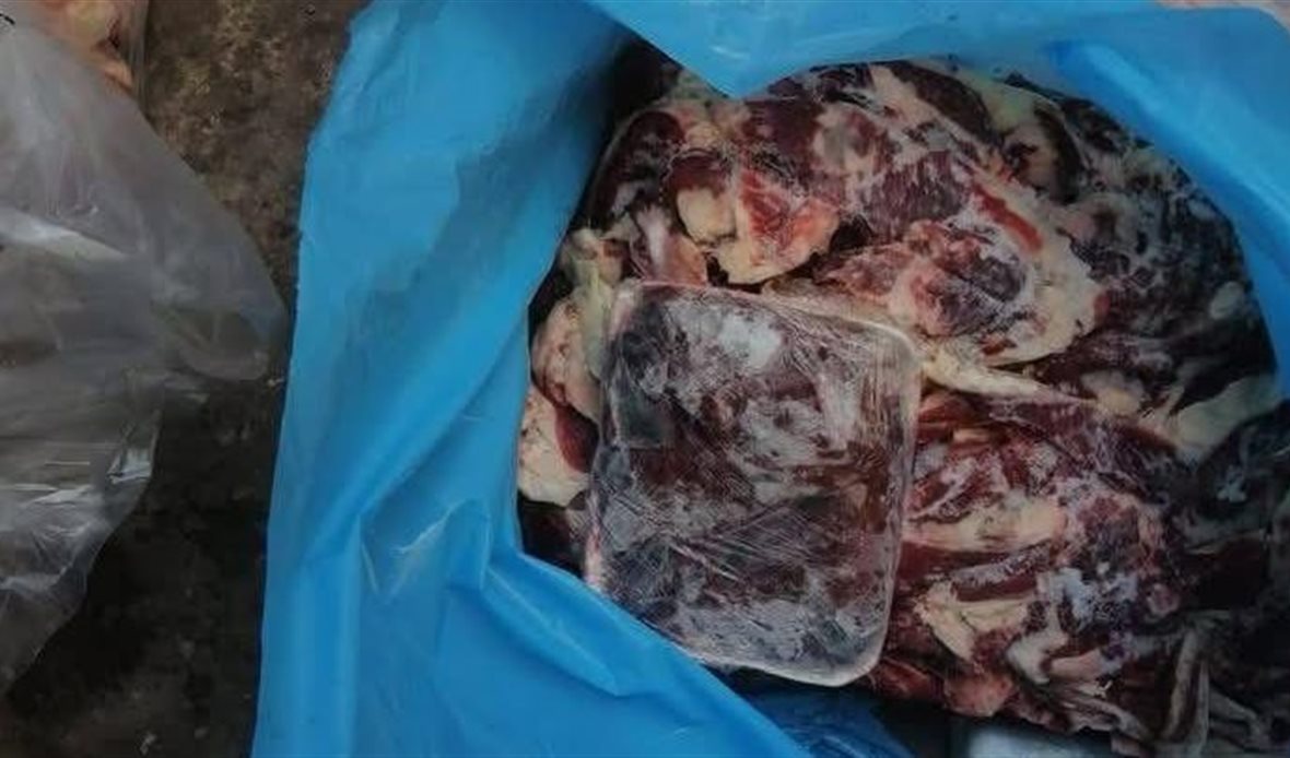 ضبط لحوم وأسماك فاسدة