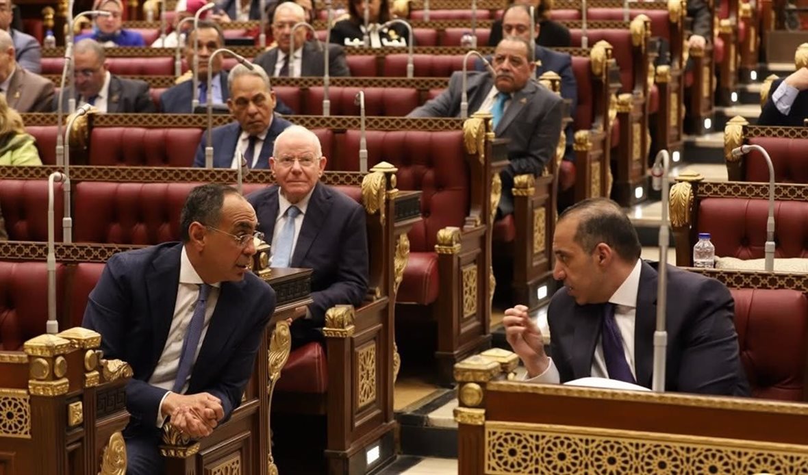 منظومة الجمارك المصرية