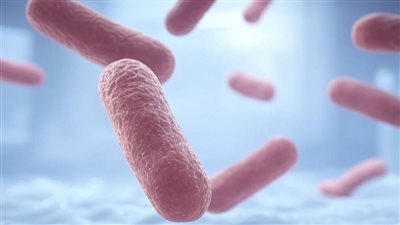 ‏MRSA البكتيريا المقاومة للمضادات الحيوية.. تهديد حقيقي يضرب المستشفيات ويُعرض حياة الآلاف للخطر يوميًا