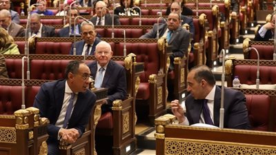 منظومة الجمارك المصرية تدخل مرحلة التحول الرقمي الكامل بدعم سياسي ومتابعة أسبوعية لتحقيق الإفراج السريع وضبط حركة الشحنات ومكافحة التهريب في المنافذ