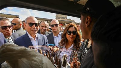 وزيرة التنمية المحلية ومحافظ القاهرة يتابعان مواقف النقل ومحطات الوقود للتأكد من التزام السائقين بالتعريفة الجديدة بعد زيادة أسعار البنزين والسولار