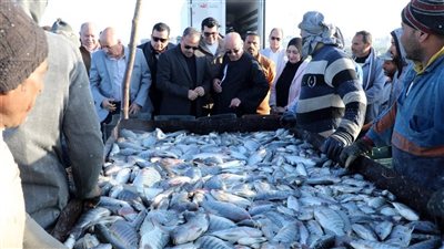 افتتاح موسم صيد الأسماك بمزرعة العباسة بالشرقية لتعزيز الأمن الغذائي وتوفير الأسماك بأسعار مناسبة ضمن خطة الدولة لتطوير الإنتاج السمكي وتقليل الاستيراد