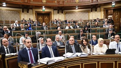 الحكومة المصرية تُنفذ التزامها الدستوري بتقريب جهات التقاضي وتعزيز الرقابة المالية وتحقق فائضًا أوليًا في موازنة 2023/2024 رغم التحديات الاقتصادية