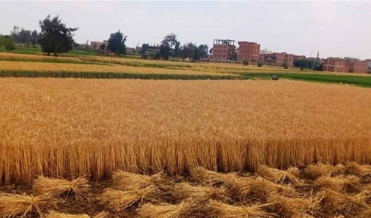 محافظة الإسماعيلية