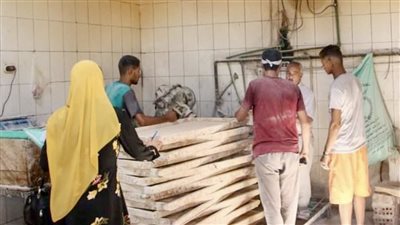 ضبط 300 مخالفة تموينية في بني سويف .. حملات مكثفة على المخابز والأسواق ومحطات الوقود لحماية المستهلكين من الغش التجاري والتلاعب بالأسعار