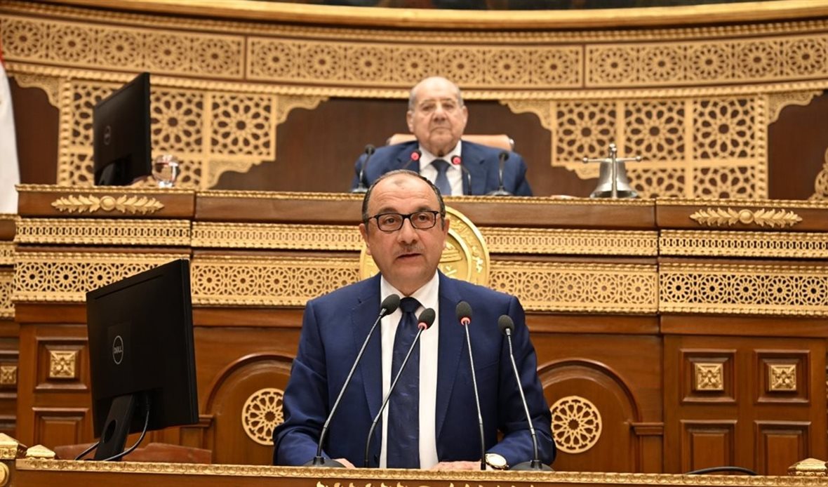 وزير قطاع الأعمال