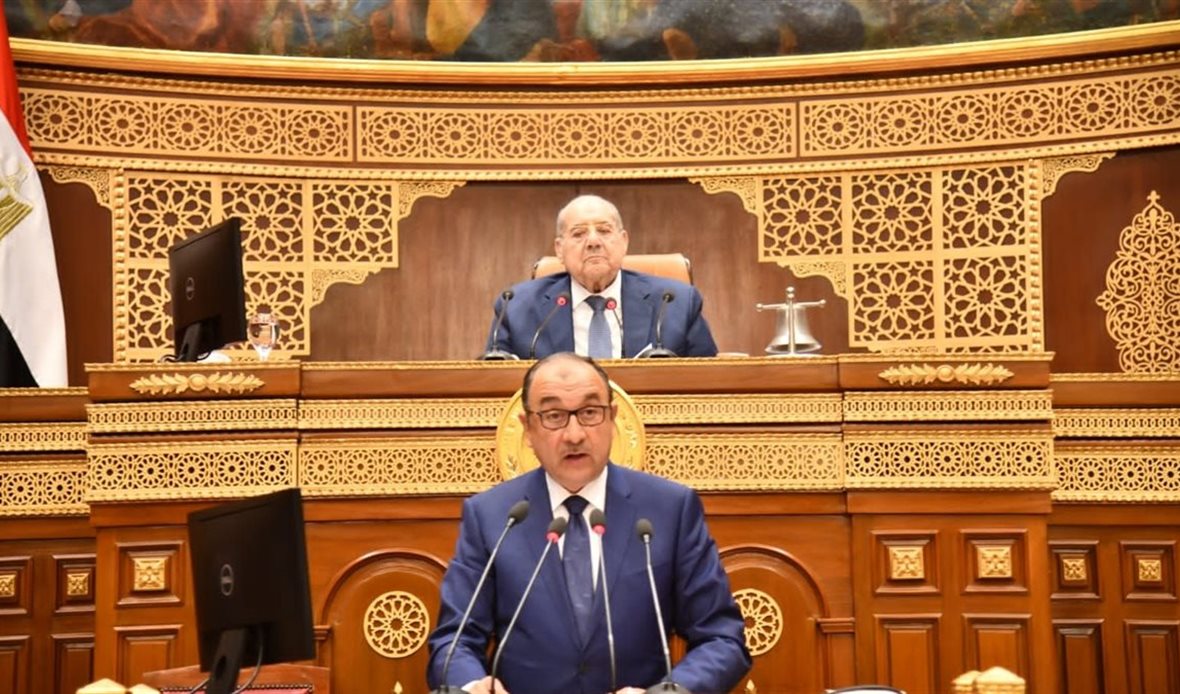 وزير قطاع الأعمال