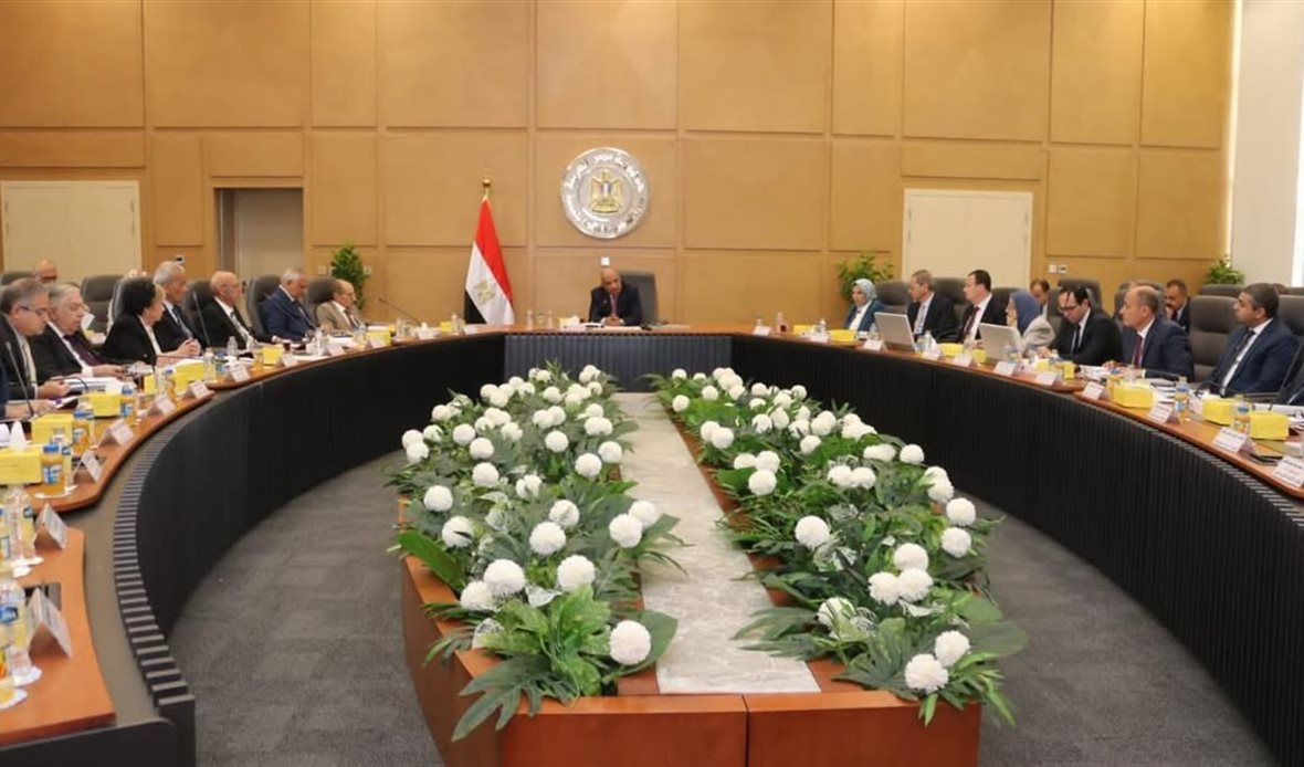 فصل الشركة المصرية