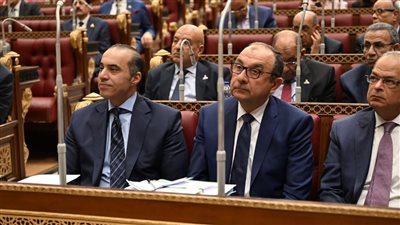 وزير الشئون النيابية يحضر مناقشات مجلس الشيوخ حول إعادة هيكلة شركات قطاع الأعمال العام ومشروعات التنمية الاقتصادية والاجتماعية للعام المالي 2025/2026