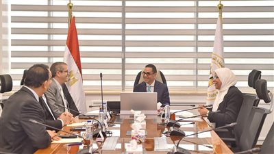 وزير الاستثمار والتجارة الخارجية يبحث مع المدير التنفيذي للجنة الاستشارية الدولية للقطن تعزيز التعاون الدولي لدعم القطن المصري وصناعة الغزل والنسيج عالميًا