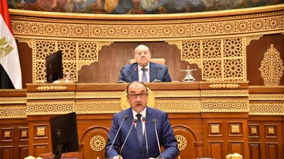 وزير قطاع الأعمال يستعرض استراتيجية شاملة لتوطين التكنولوجيا الصناعية والتحول الأخضر وتعظيم العوائد الاستثمارية بالشركات التابعة أمام مجلس الشيوخ